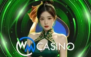 wm by มีดี 789